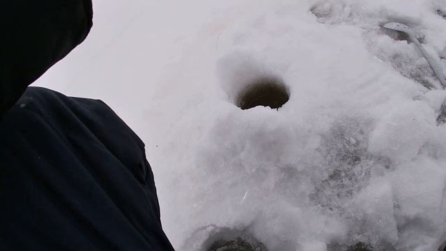 Рыбалка на жерлицы... С ЧЕГО НАЧАТЬ??? Ловля плотвы! Живец лютует! Ловля щуки на жерлицы!!! смотреть онлайн