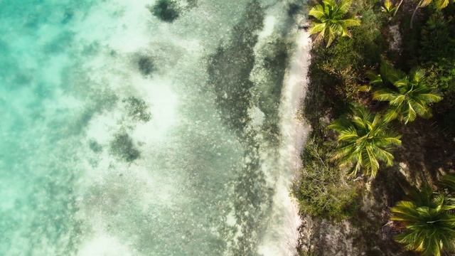 CARIBBEAN SEA drone flying смотреть онлайн