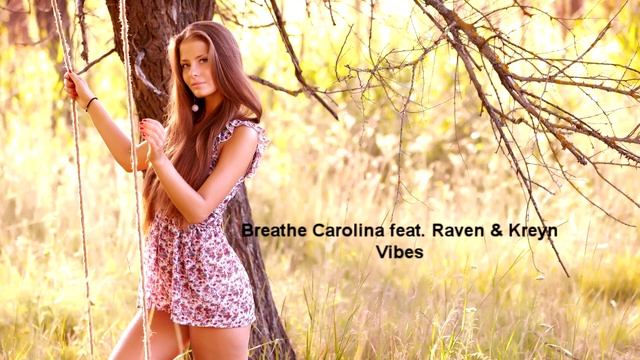 Breathe Carolina feat. Raven & Kreyn - Vibes смотреть онлайн