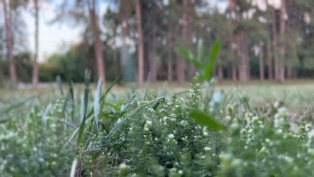 ЛУЧШАЯ ПРАКТИКА ДЛЯ ЗДОРОВЬЯ И БЛАГОПОЛУЧИЯ !! смотреть онлайн