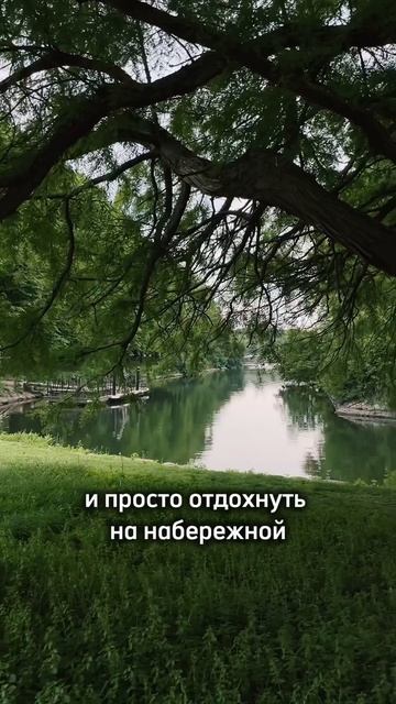 Из Копенгагена🇩🇰 в Мальме🇸🇪 #мальмё #швеция смотреть онлайн
