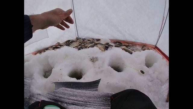 Ловля карася Зимой со льда. Нереально бешеный клев!!! смотреть онлайн