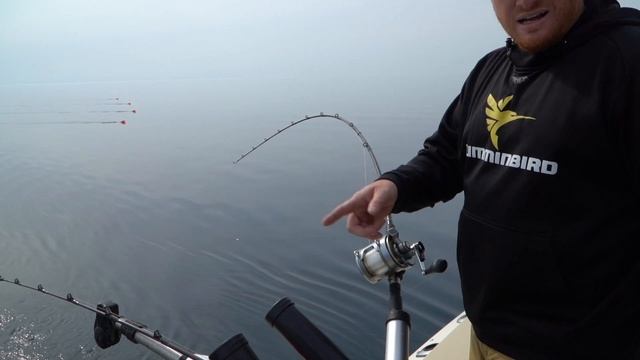 Best Thing I've Ever Done Is Take Kids Fishing смотреть онлайн