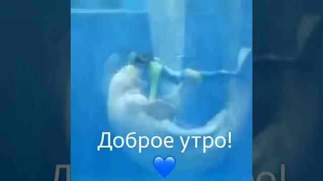 9 июля 2018 г. смотреть онлайн