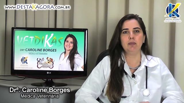 Principais doenças caninas смотреть онлайн