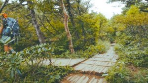 Neo-Brite phosphorescence is integrated into the solar dial design：CASIO PRO TREK PRW-61LD