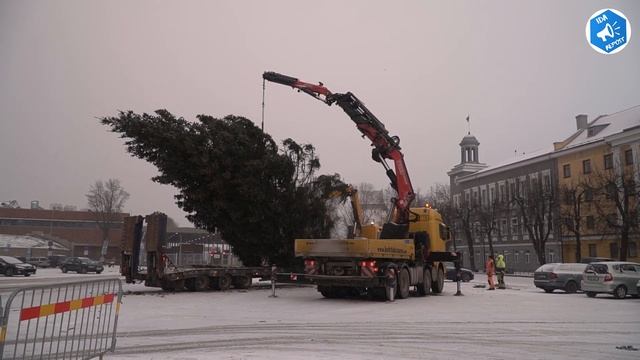 В Нарве установили рождественскую ель смотреть онлайн