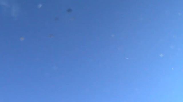 николаевские голуби 28.10.2022 смотреть онлайн