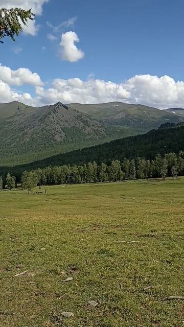 Изба в красивейшем месте🛖🏞🌲 #алтай #тайга #горы #походы #туризм #горныйалтай #горный_алтай #туризм