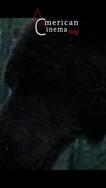 Revenant: Attacked by a Bear смотреть онлайн