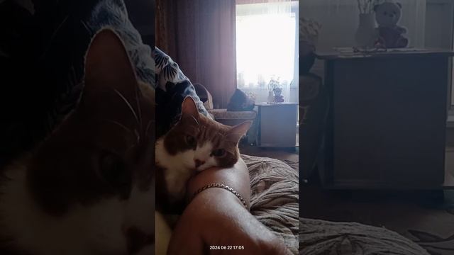 Когда на солнце+ 48,а в тени+ 32, хочется только лежать 😄☀️ смотреть онлайн