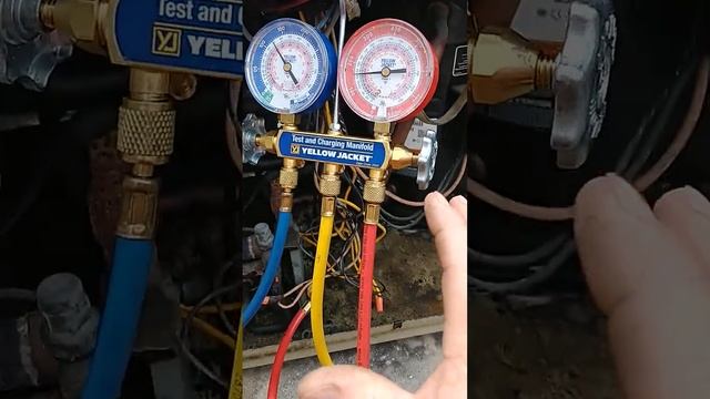 bad compressor 206 смотреть онлайн