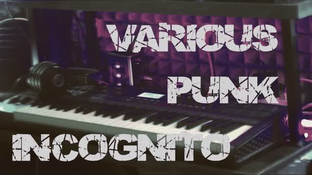 INCOGNITO - ИНКОГНИТО - VARIOUS PUNK #electronicmusic #rockmusic