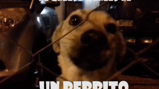 42 horas sin dormir. смотреть онлайн