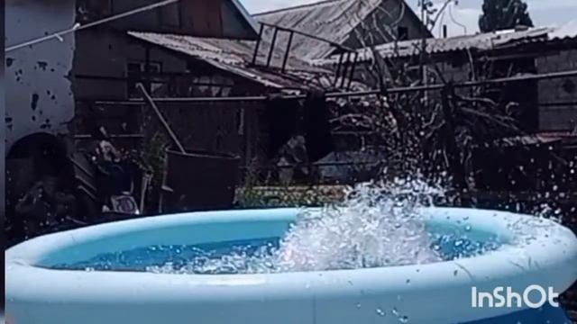 Купаюсь в Бассейне😁 смотреть онлайн