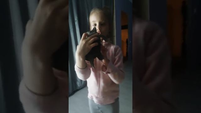 Черепаха Тильда #домашние #питомцы Евангелины 🐢🐯🐶 смотреть онлайн