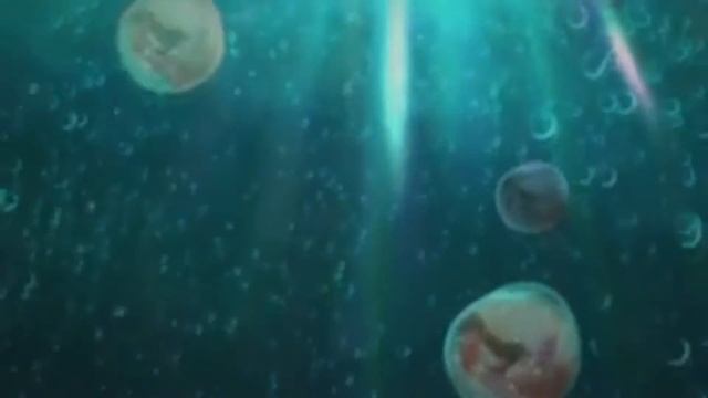 Забудь...(Аниме клип) смотреть онлайн