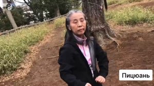 025 лабиринты кунг-фу