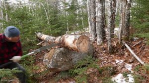 Silky Katanaboy 650 4K