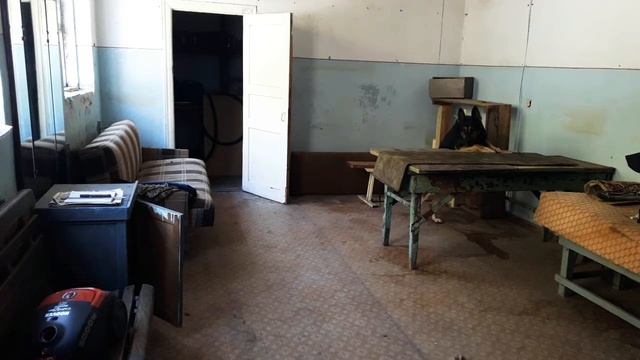 Поиск еды 3.6окт смотреть онлайн