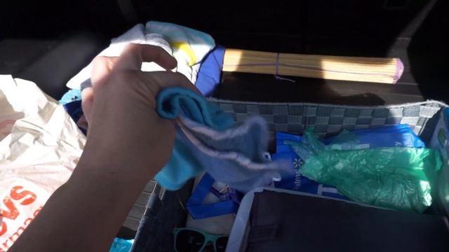 DIY Car Organization!! | Car Organization Tips!! смотреть онлайн