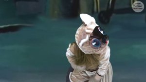 Хорошо спрятанная котлета!