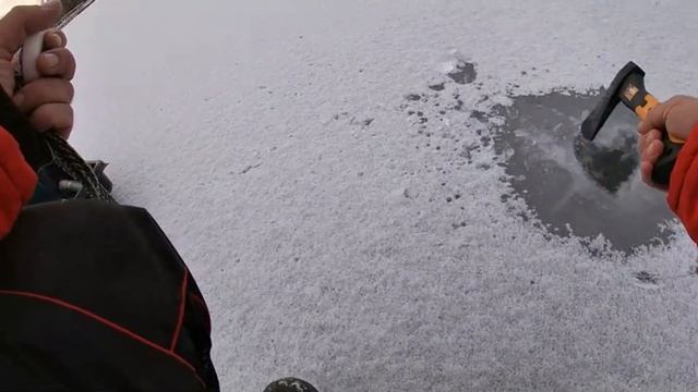 Первый лед 2020-2021! Ловля окуня и судака на блесну Ловля на безмотылку Зимняя рыбалка. Не ТРОФЕИ!! смотреть онлайн