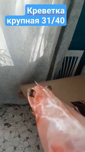 Креветка Иран 31/40 г. Самара Для заказа ссылки в описании смотреть онлайн