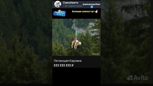 СБОРНИК СМЕХ АВИТО!