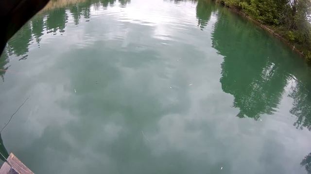 Ловля форели. Мой первый опыт. Форель в Сибири. Пруд Изумрудный. смотреть онлайн