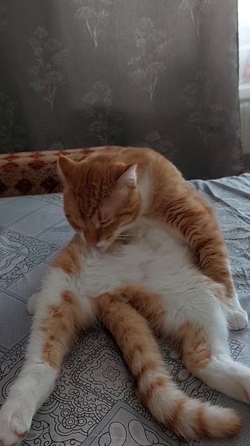 любитель посидеть на п..пе смотреть онлайн