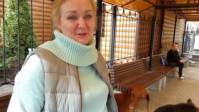 Кинологический центр Сокольники ( часть 2) смотреть онлайн