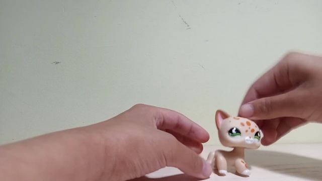 Посылка С AliExpress распоковка пета! смотреть онлайн