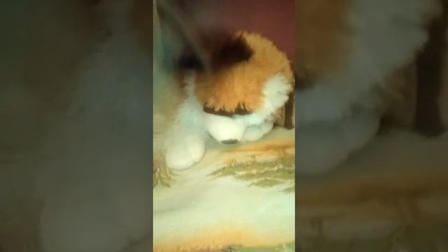 человек орёт на игрушечную собаку! :3 смотреть онлайн