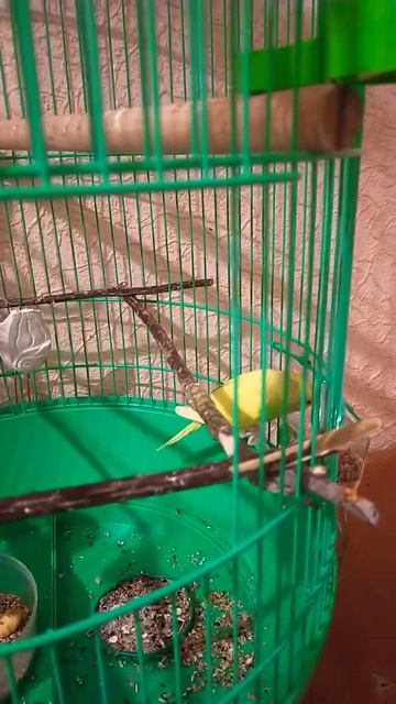 Милка Лунтик ужин смотреть онлайн