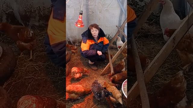 Любимые девочки 6. Ленка попрошайка. смотреть онлайн