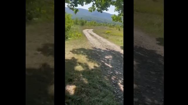 3 июля 2024 г. смотреть онлайн