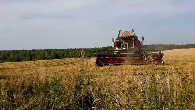 Уборочная(2022) \PALESSE GS 12-A1.2\ PALESSE GS-12 смотреть онлайн