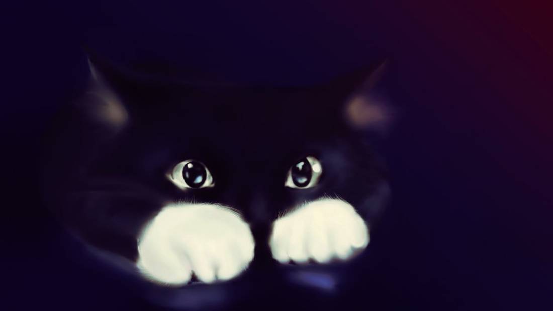 Мой кот Майкл 4 месяца смотреть онлайн