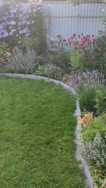 Обзор моего участка.