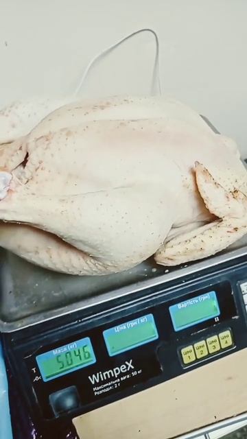 23 декабря 2022 г. смотреть онлайн