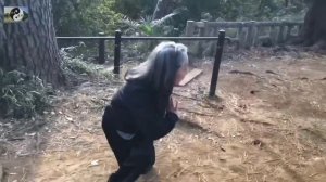 021 лабиринты кунг-фу