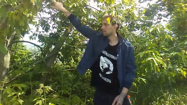 ЛНДВ: норма, долг и Fanta смотреть онлайн