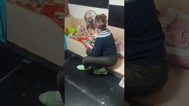 #шансожители смотреть онлайн