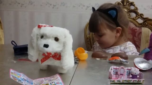 Даша показывает новые покупку и открывает киндер с Хело Кити. смотреть онлайн