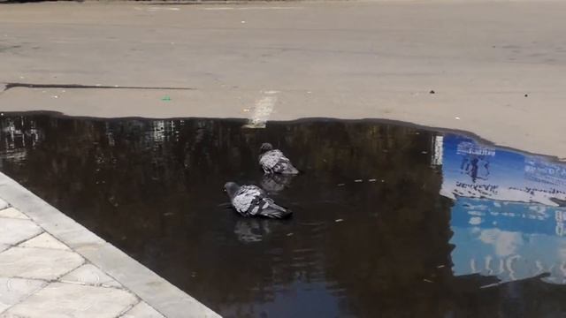 Когда ждёшь автобус уже 3 часа смотреть онлайн