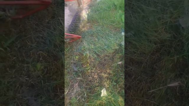 Чоп оруучу косилка тел:0999545479 Ватсап 0779238476 заказ алабз смотреть онлайн