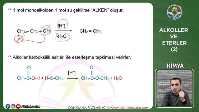 Alkoller ve Eterler 2 - AYT - 12. SINIF смотреть онлайн