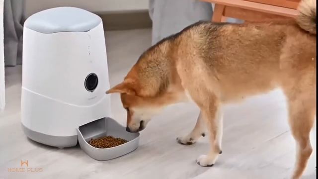 Petoneer可視寵物餵食機 HP000150 смотреть онлайн