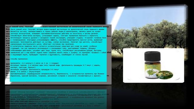 Эфирные масла Vivasan новинки